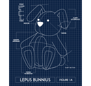 Anatomy of a Best Friend (Bunny)